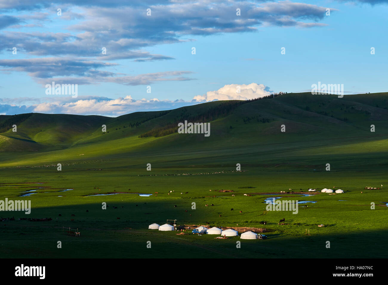 Mongolia, Arkhangai province, yurt nomad camp in the steppe Stock Photo ...