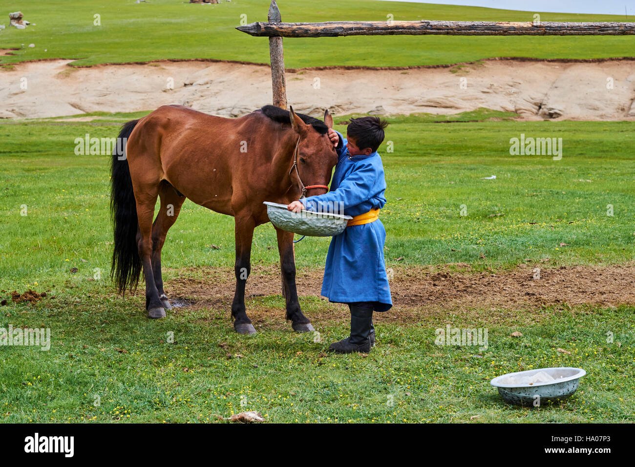 Young boy horse High Resolution Stock Photography and Images Alamy