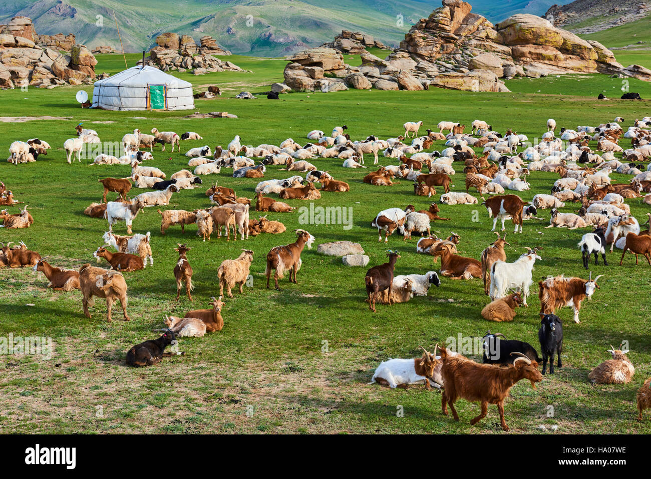 Mongolia, Bayankhongor province, nomad camp Stock Photo
