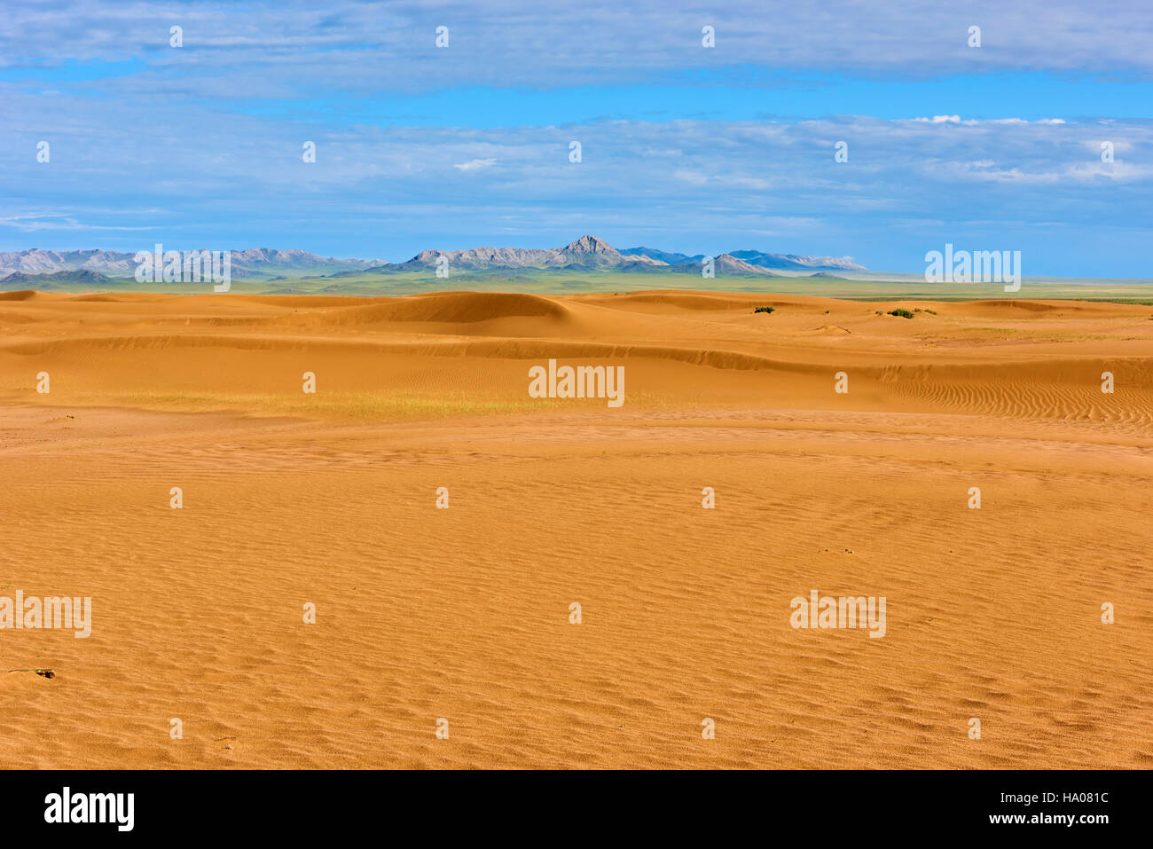 Mongolia, Zavkhan province, deserted landscape of sand dunes in the steppe Stock Photo