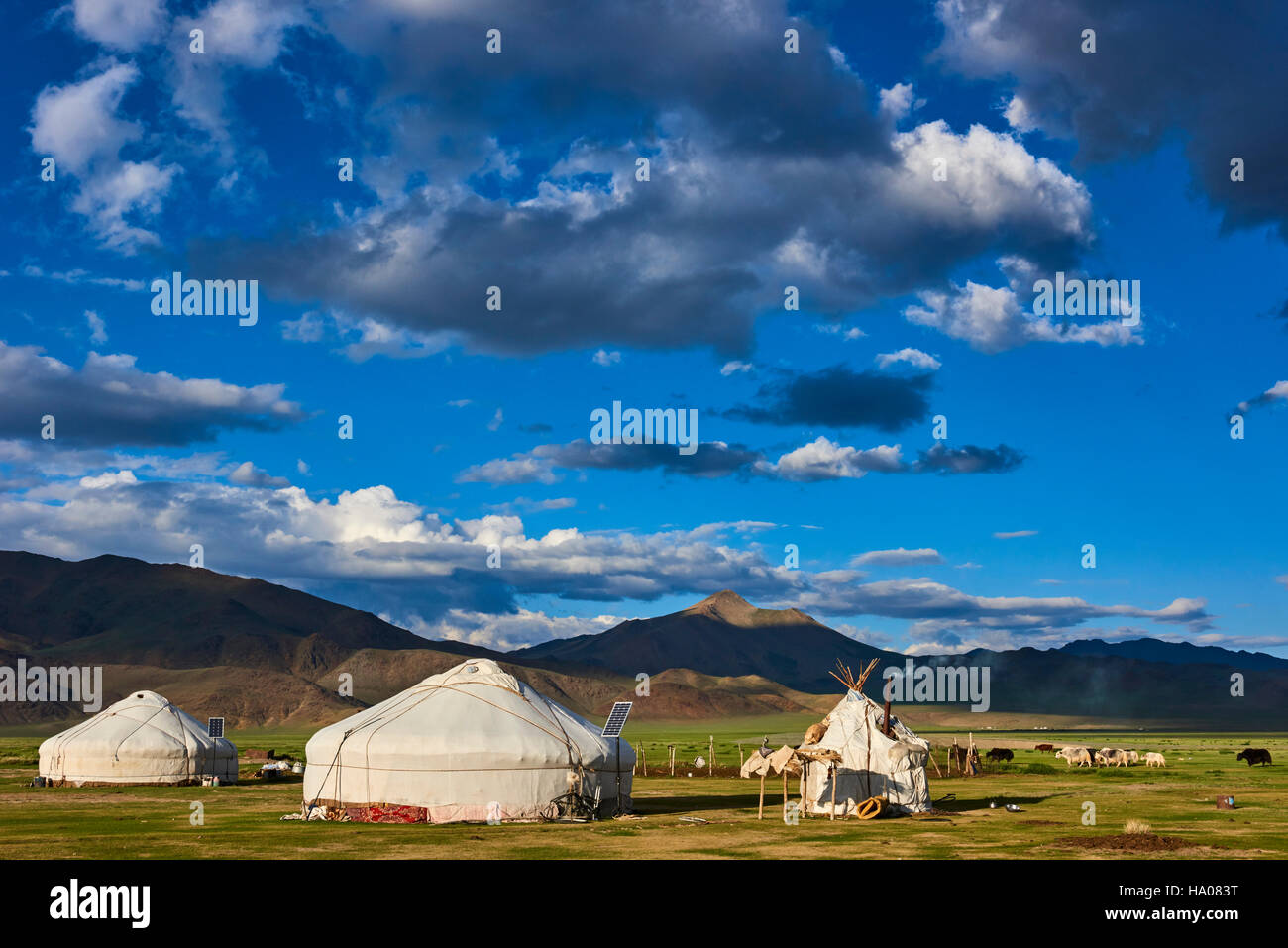 Mongolia, Bayan-Ulgii province, western Mongolia, nomad camp of Kazakh people in the steppe Stock Photo