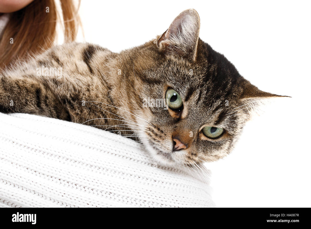 Head and shoulder photo hi-res stock photography and images - Alamy