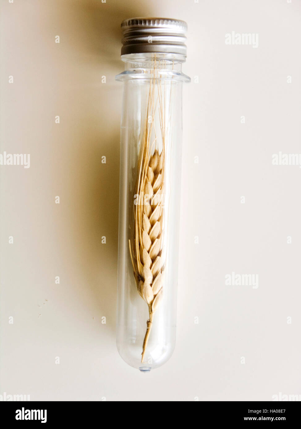 Food crisis preservation concept Stock Photo