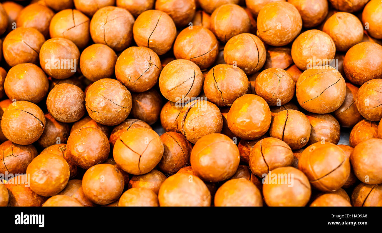 Australian nut hires stock photography and images Alamy
