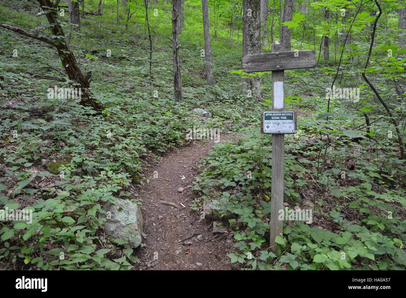 A scenic section of the Appalachian Trail along Blue Ridge Parkway at ...