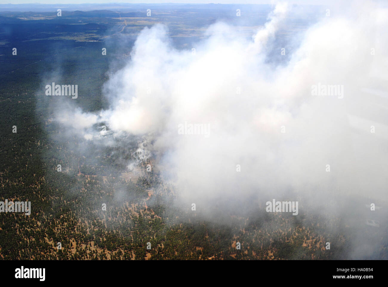 The Sitgreaves Complex fire in Arizona was a major wildfire that ...