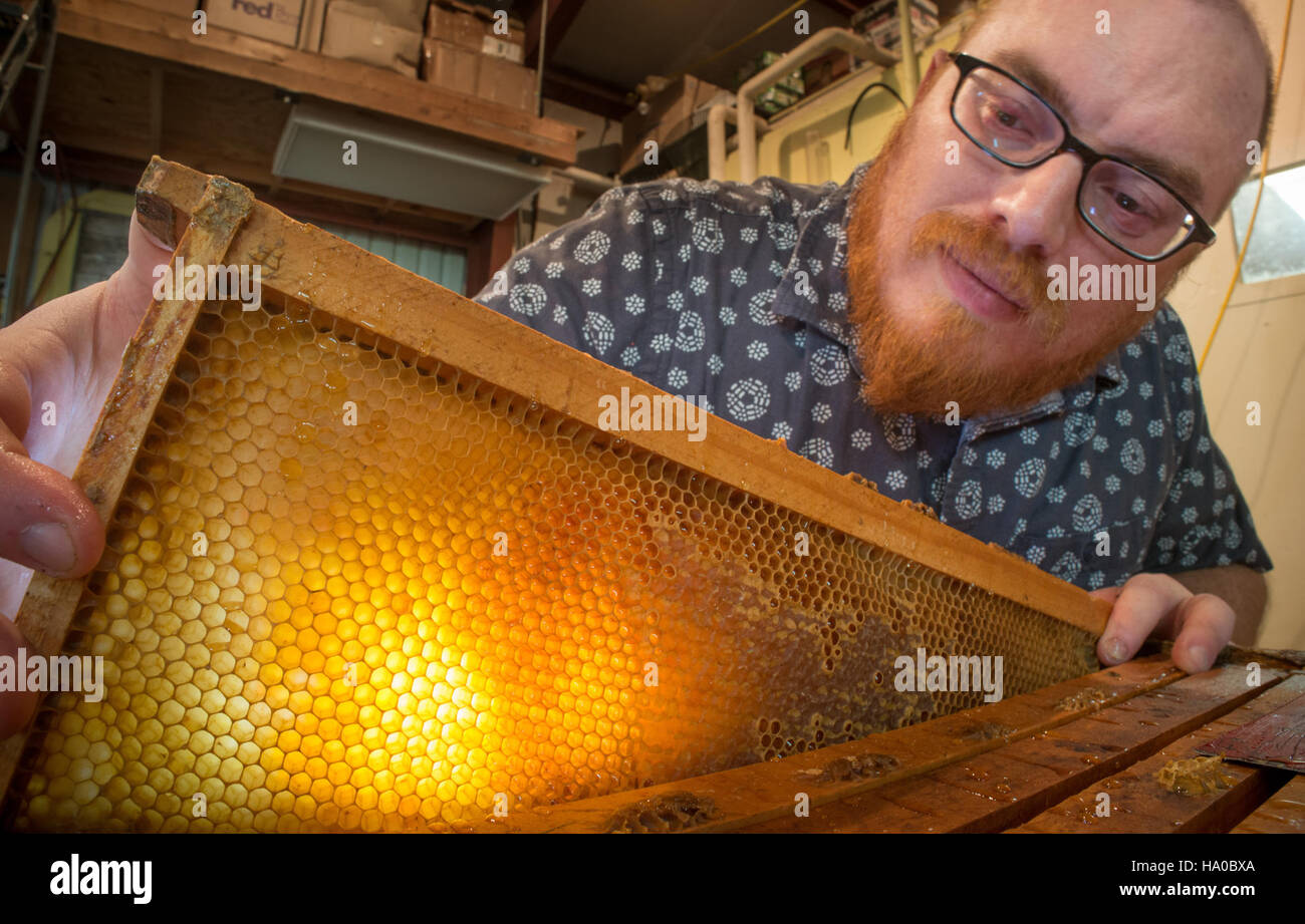 At the U.S. Department of Agriculture's Agricultural Research Service ...