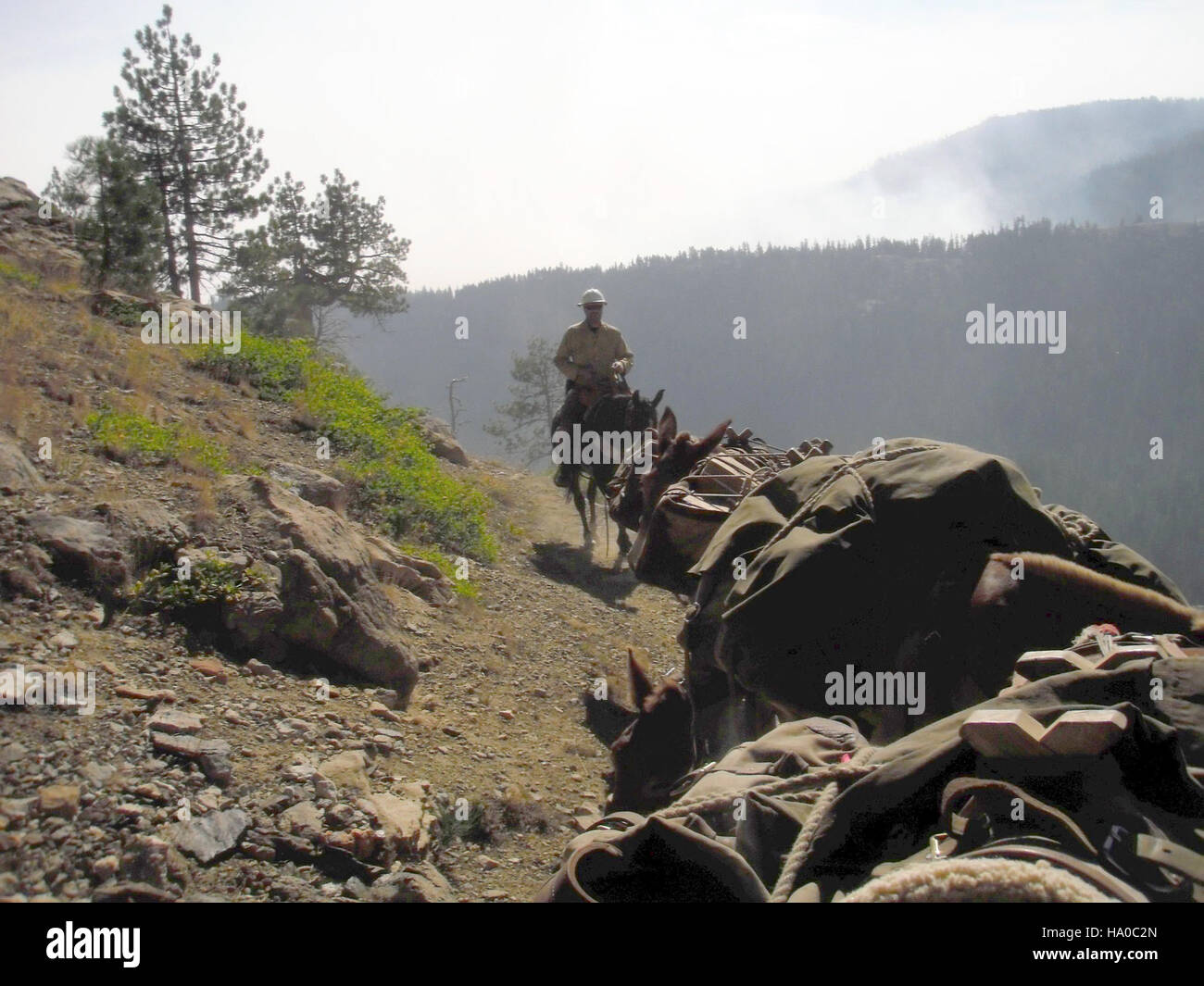 Firefighting crews respond to the Happy Camp Complex wildfire ...
