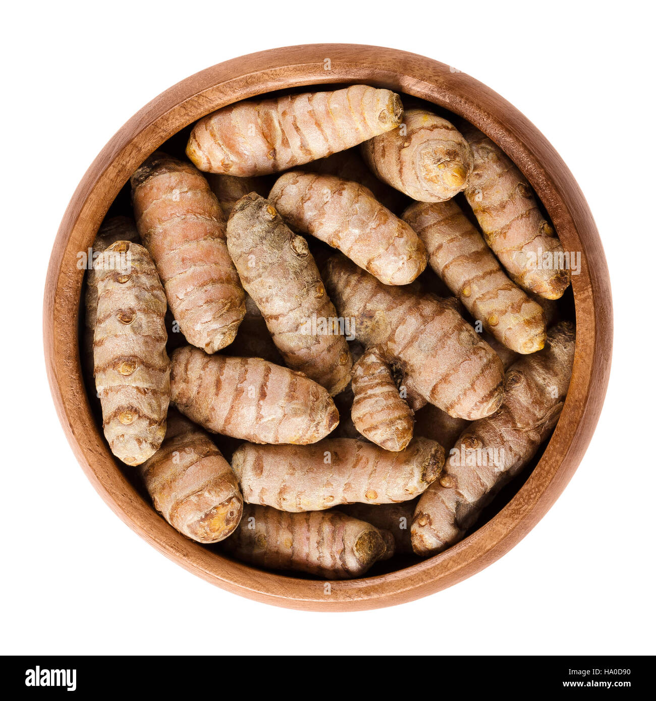 Fresh turmeric rhizomes in wooden bowl. Curcuma longa, also tumeric, used as spice for curries, for mustards and medicine. Stock Photo