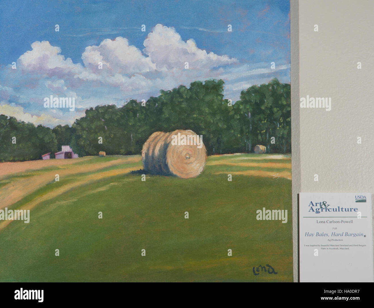 An image from the USDA featuring an employee artwork, reflecting the department’s integration of art and nature in its efforts towards environmental and scientific research. Stock Photo