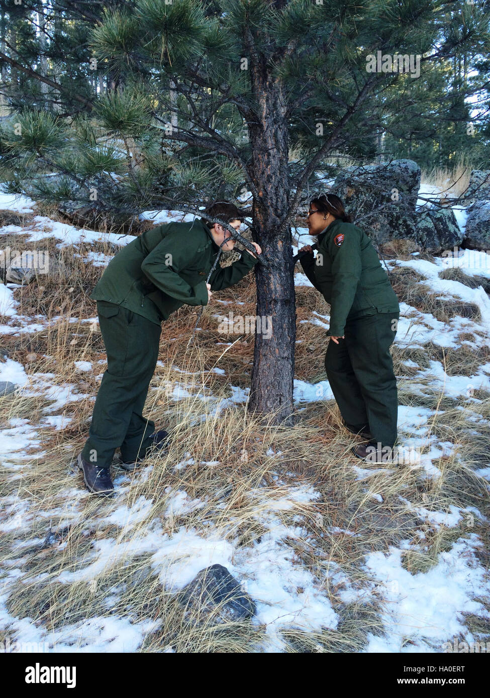 Park rangers in Badlands National Park engage with the environment by ...