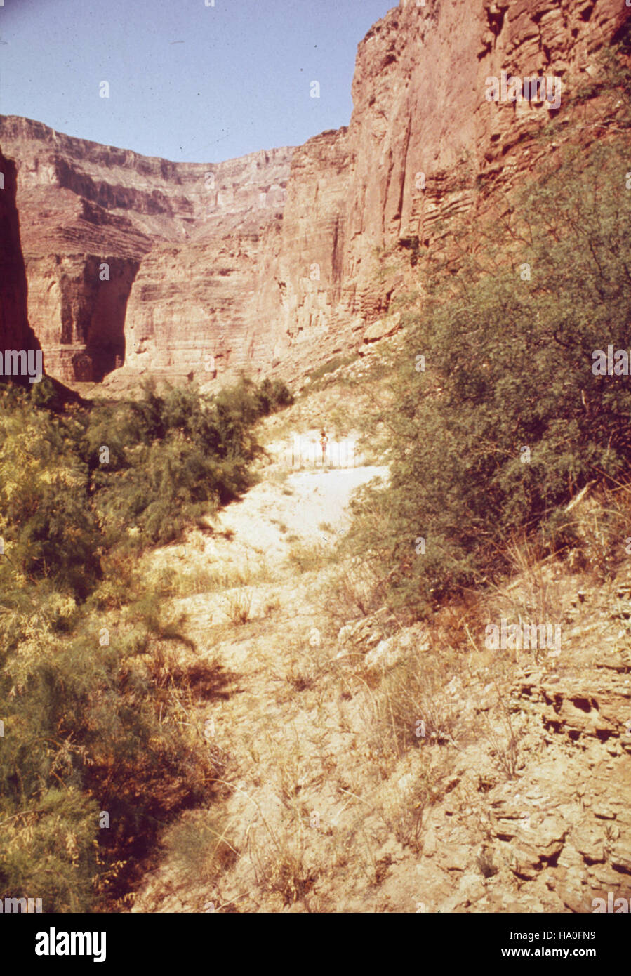 grand canyon nps 16539217776 R40.3L - RIGHT - 40.3 MILE. (LOWER) Stock Photo