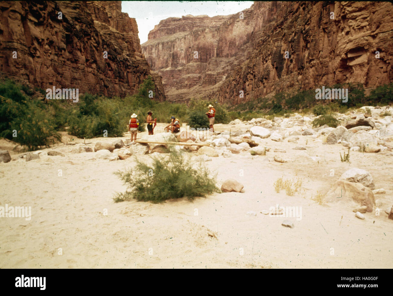 grand canyon nps 19400792610 L166.5IN LEFT NATIONAL CANYON (INNER
