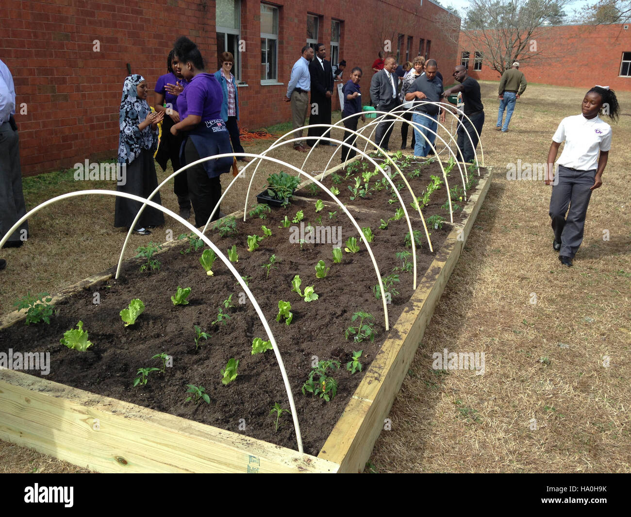 usdagov-16926008311-garden-construction-and-planting-in-hoop-house