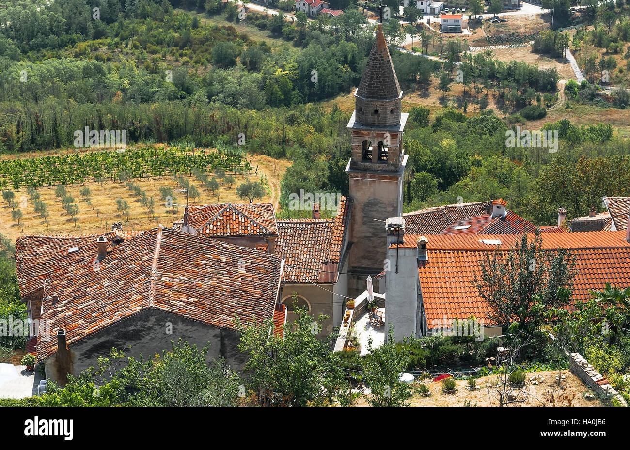 View of the church and the roofs of the ancient city of Motovun in Istria. Croatia Stock Photo