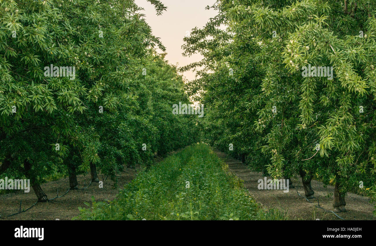 Environmental Quality Incentives Program Stock Photo