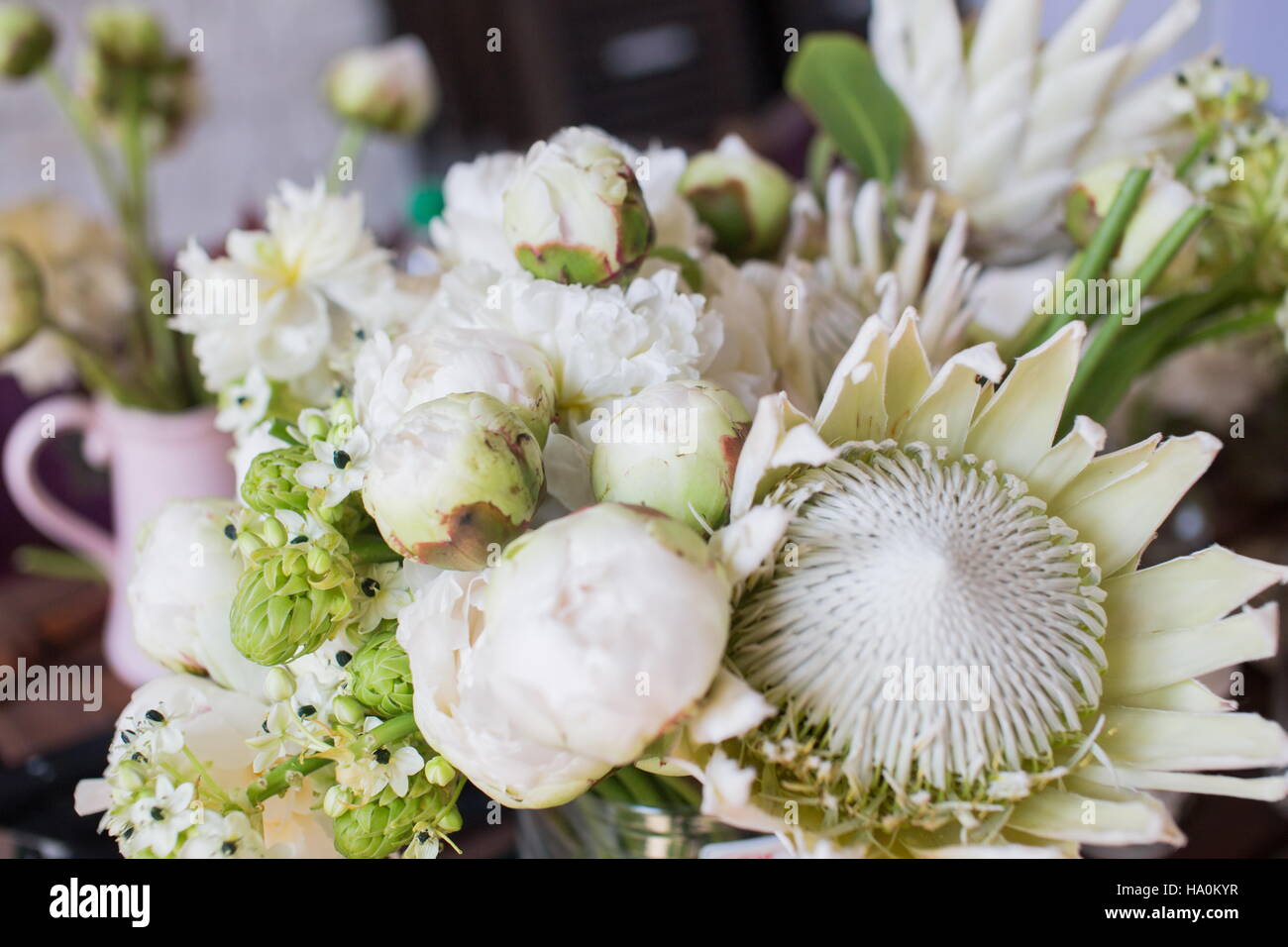 Beautiful white protea and David Austin roses on a table. Nice rare ...