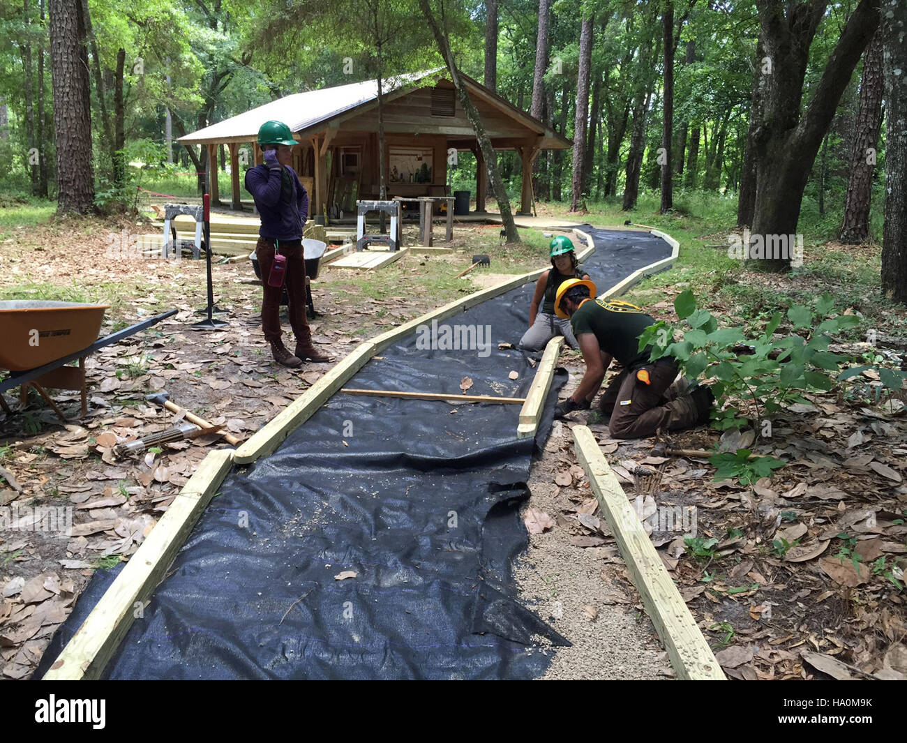 usdagov 20332081723 Youth workers constructing an Architectural