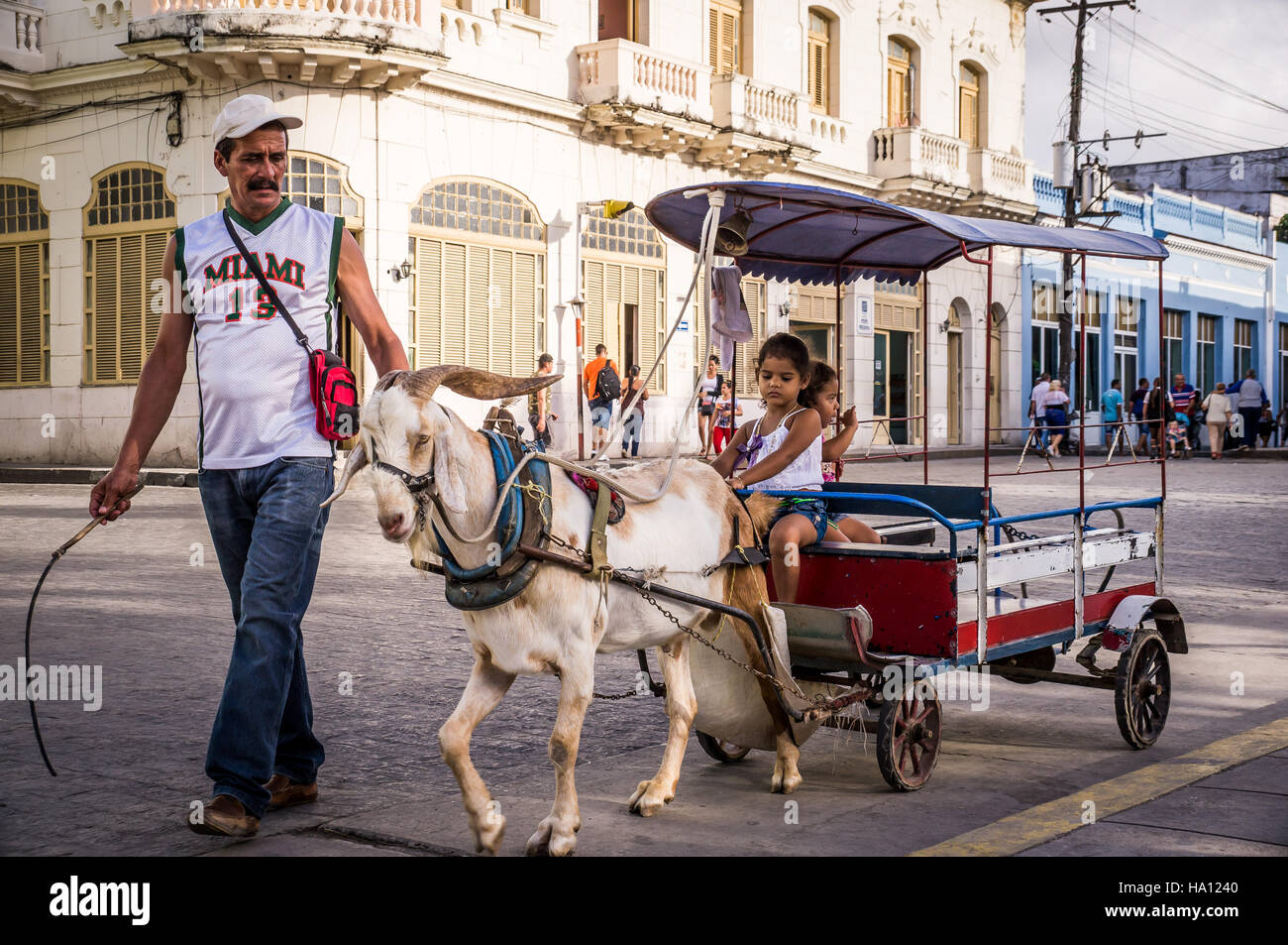 Man with whip guiding goat that pulls kids in carriage Stock Photo