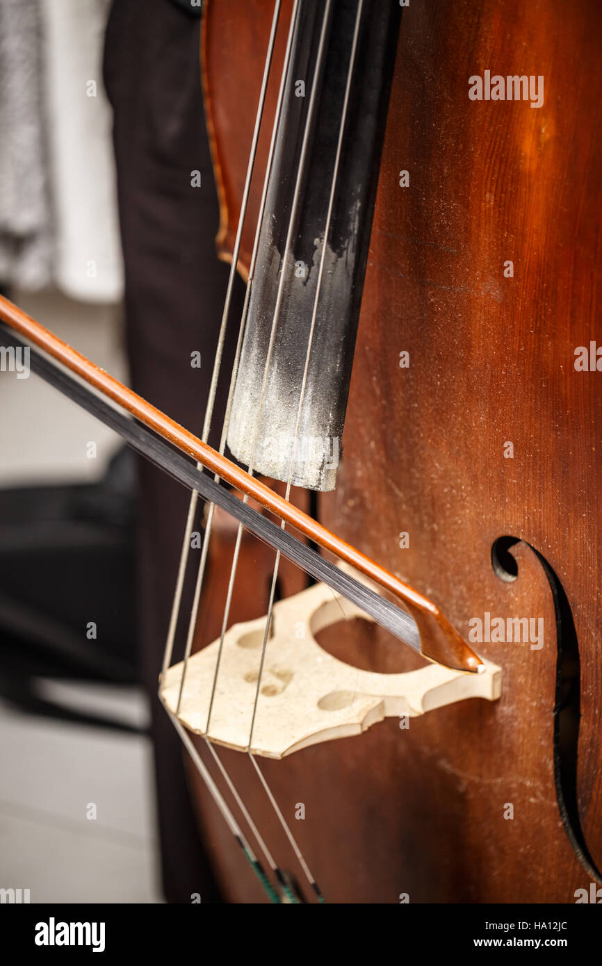 Double bass bridge and string close up Stock Photo Alamy