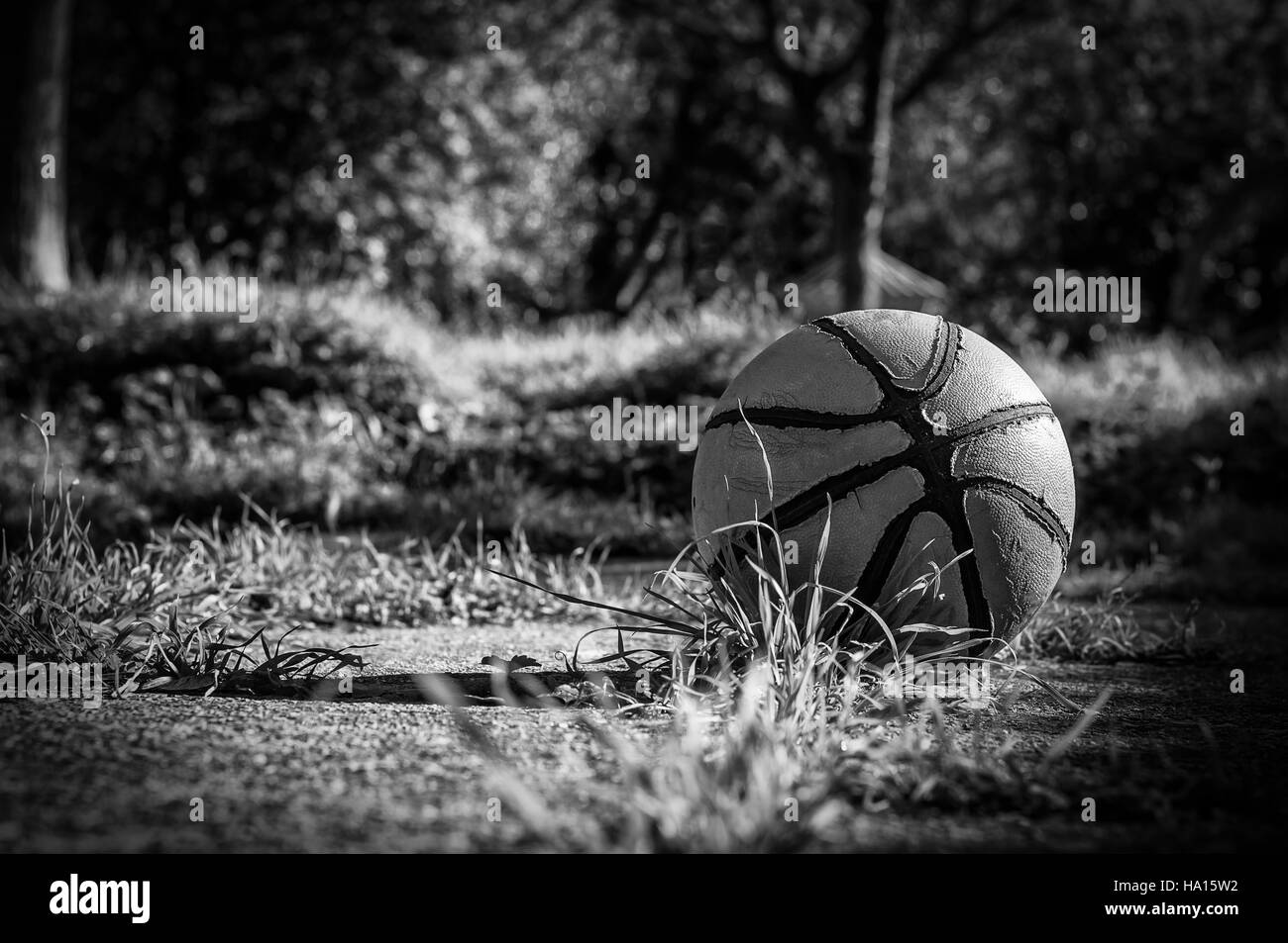 Basketball Black and White Stock Photos & Images - Alamy