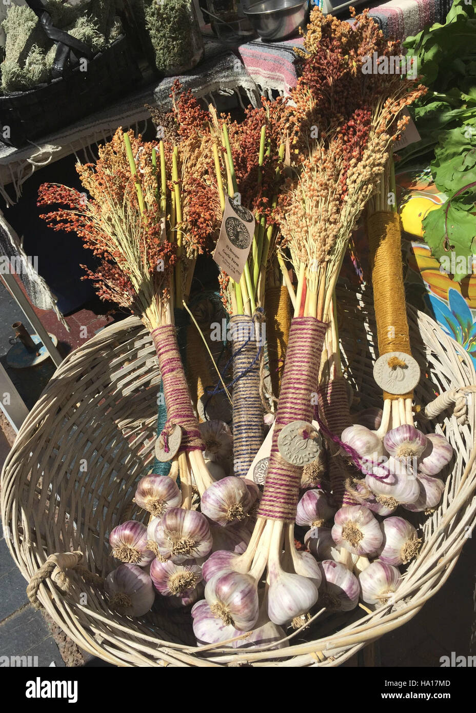 usdagov 25729997220 El Bosque Garlic Farms' handtied garlic Stock