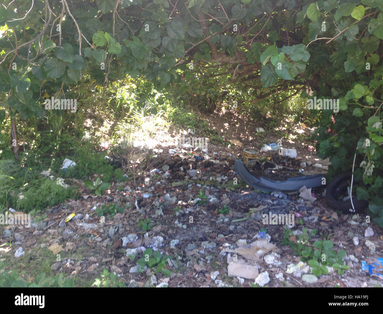 This image from the War in the Pacific National Park highlights the ...