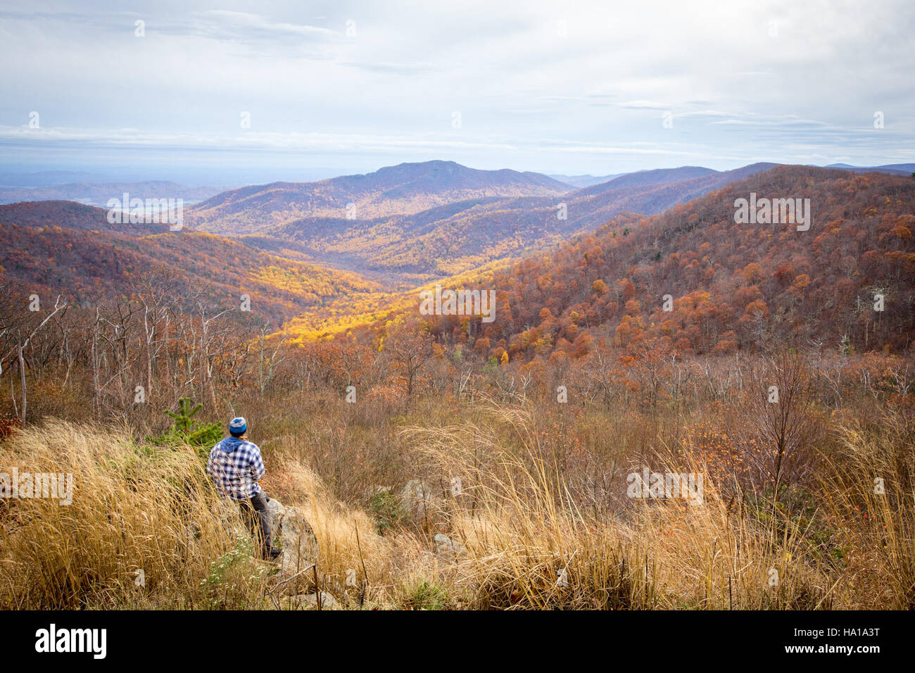 The Pinnacles Overlook offers a stunning view of Old Rag Mountain in ...