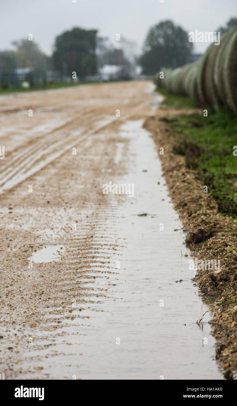 Ammonia farm hi-res stock photography and images - Page 3 - Alamy