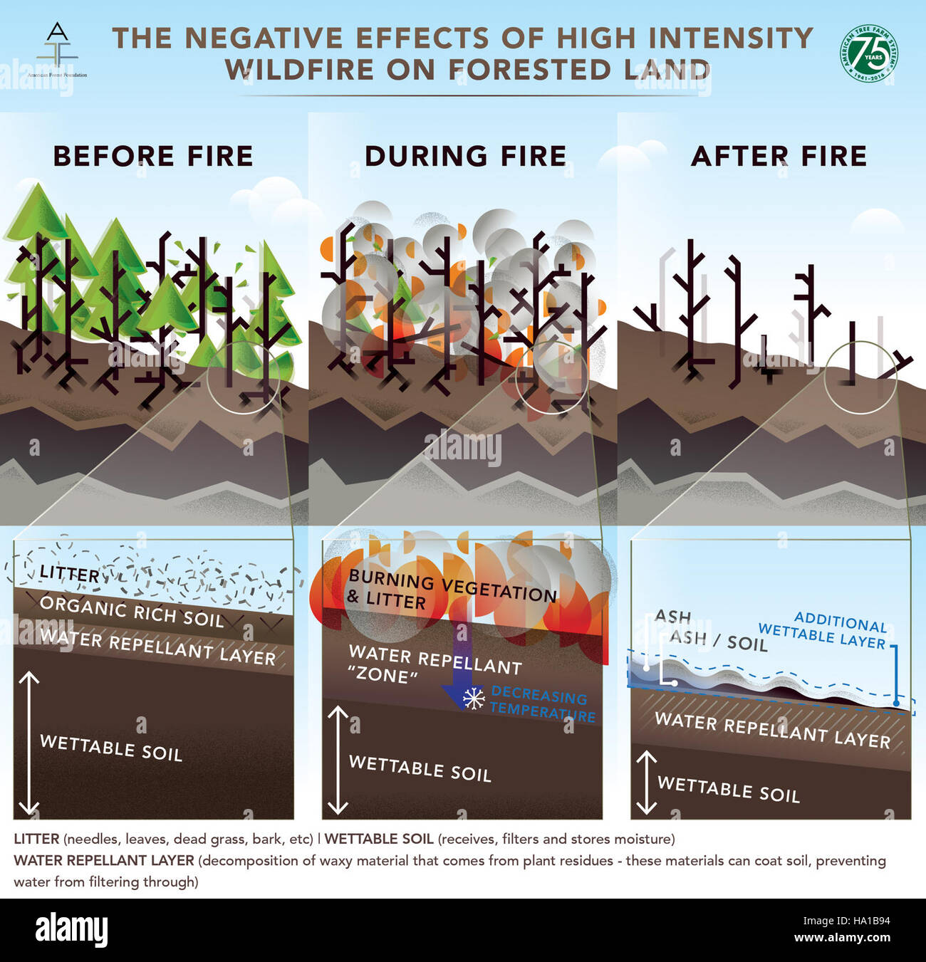 usdagov 24528160859 The Negative Effects of High Intensity Wildfire on