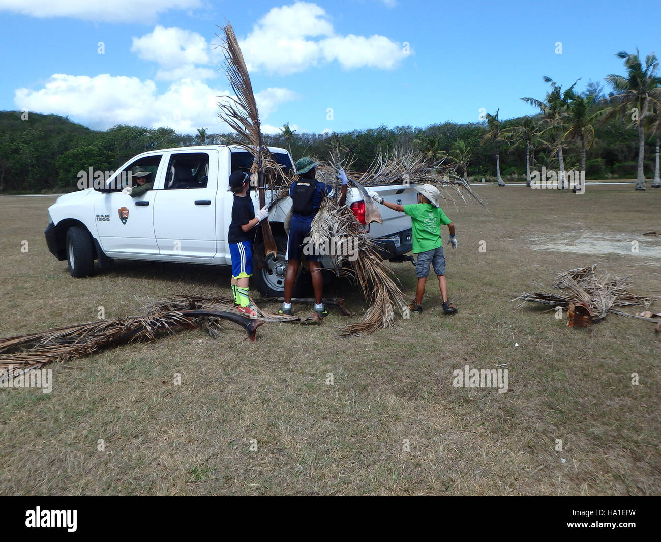 A historical image from the War in the Pacific showing nature and ...