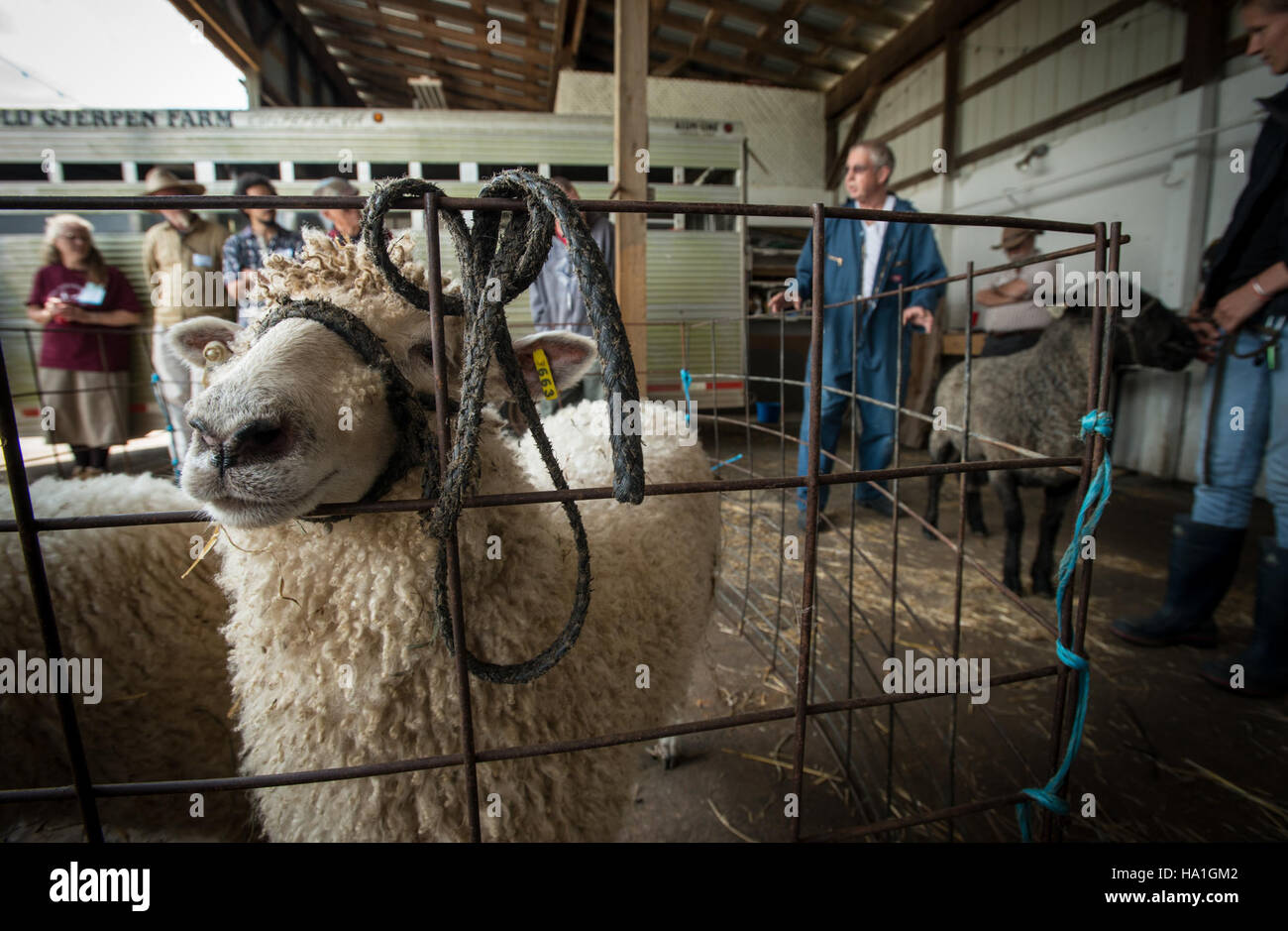 The USDA's Outreach and Assistance for Socially Disadvantaged Farmers ...