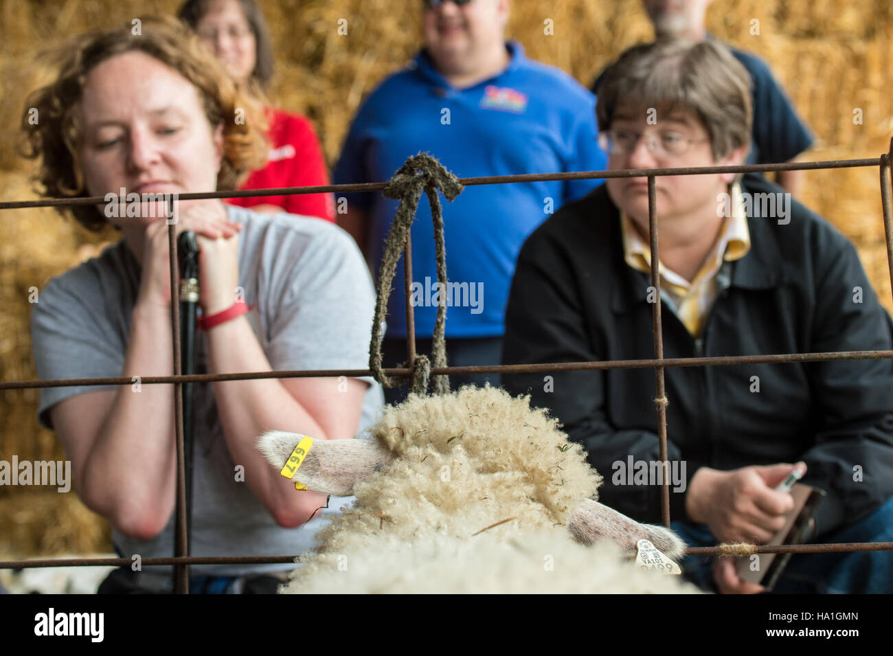 The USDA's Outreach and Assistance for Socially Disadvantaged Farmers ...