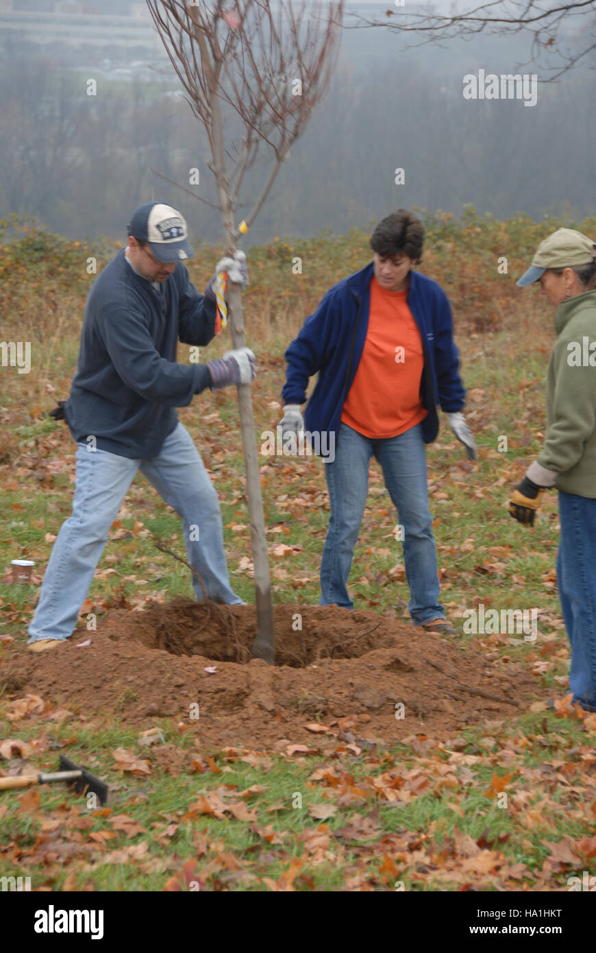 A tree planting event at Valley Forge National Park in 2008, focused on ...