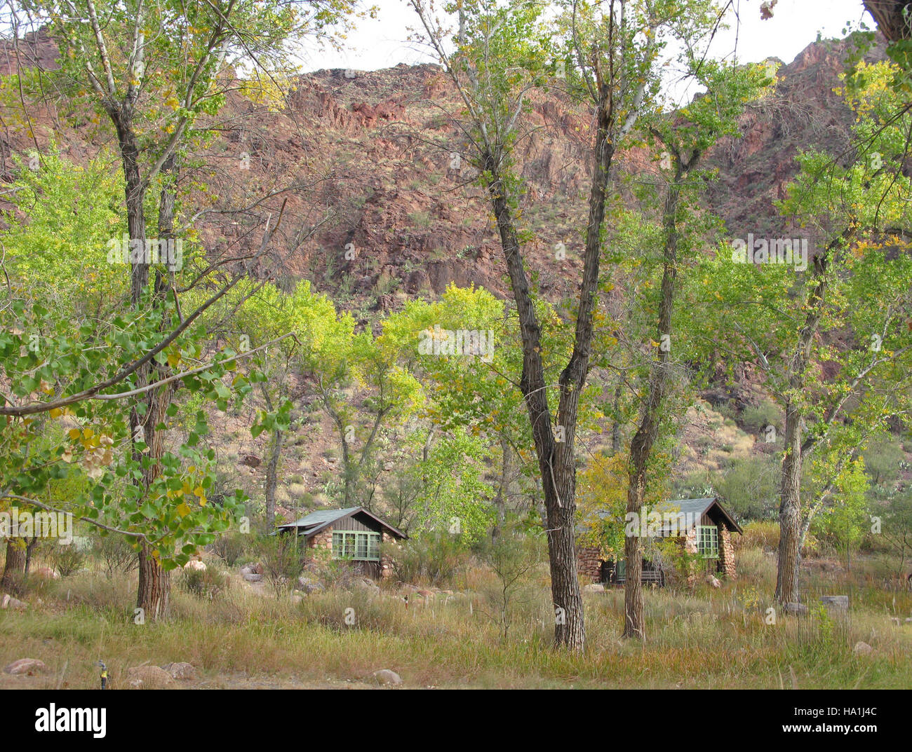 The Grand Canyon, with a view of the historic Phantom Ranch cabins. The ...