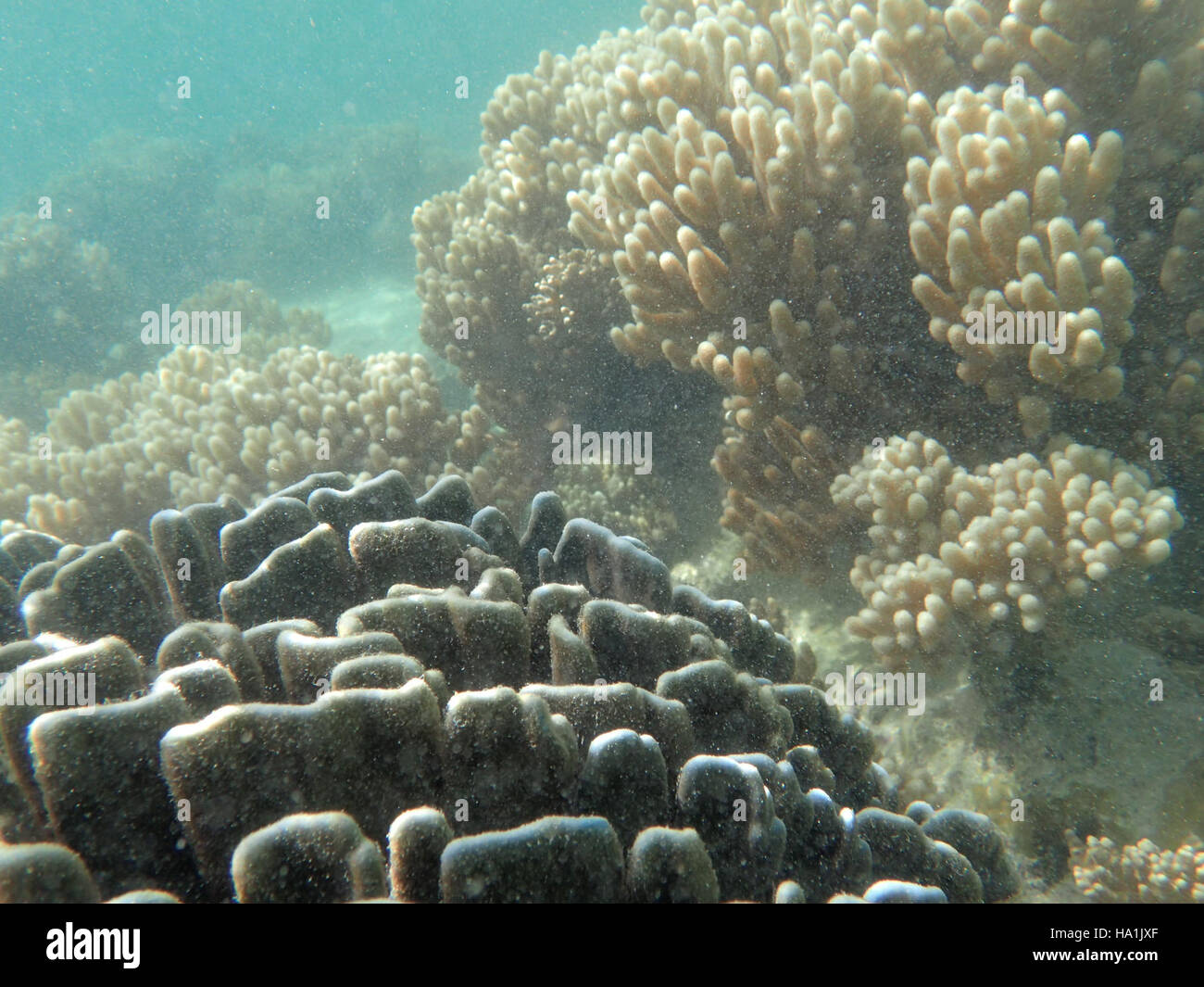 This image captures a moment from the War in the Pacific, depicting ...