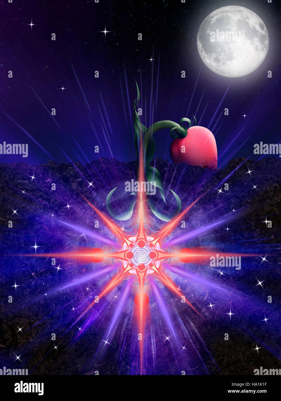 License available at MaximImages.com - Flower rising from the soil at full moon with its bright magical blossom in its roots underground, conceptual Stock Photo