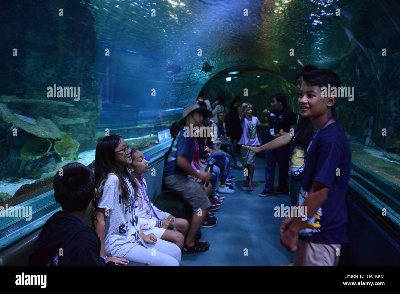This image from the War in the Pacific National Historical Park ...