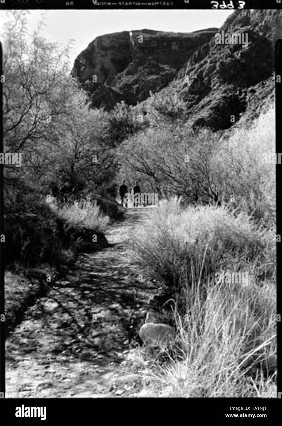 A historic view of Phantom Ranch, located in the Grand Canyon, circa ...