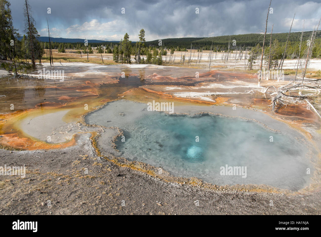 This image features Firehole Spring in Yellowstone National Park, known ...