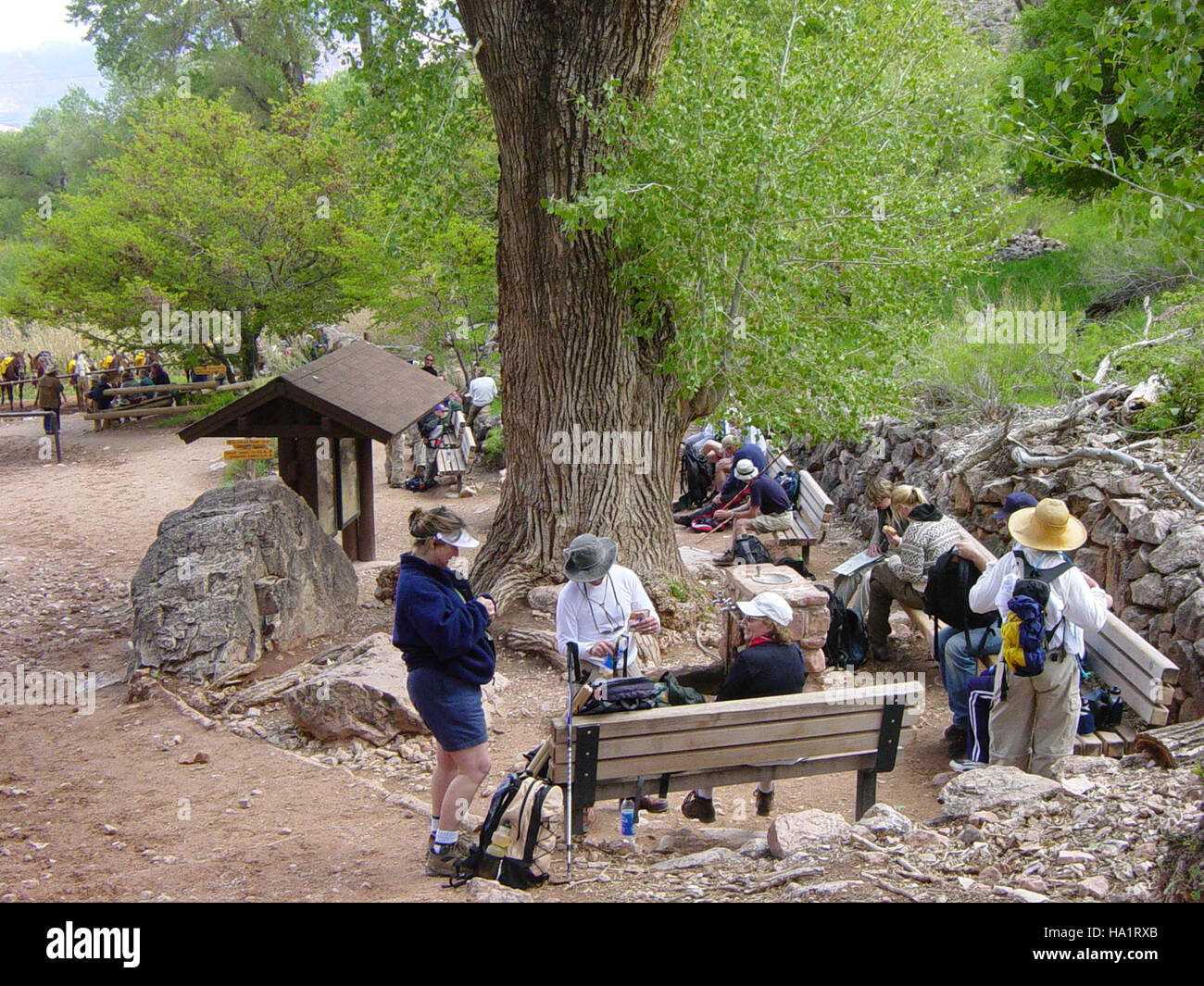 Indian gardens grand canyon hi-res stock photography and images - Alamy