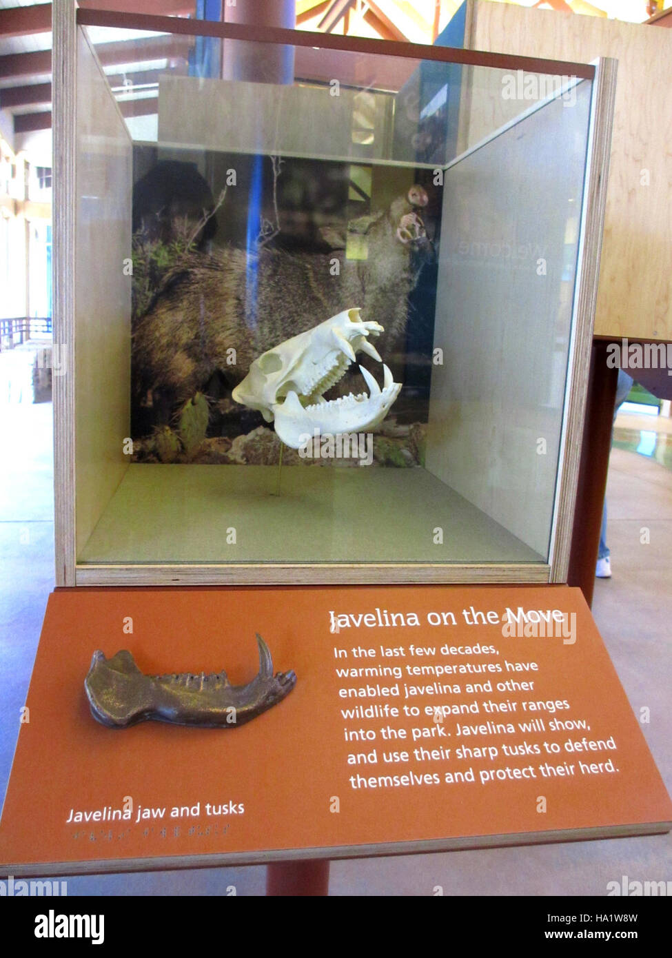 The Grand Canyon National Park installed a new exhibit at the Visitor Center, showcasing the park's natural features, geology, and science behind the Grand Canyon. This initiative aims to educate the public about its geological history and natural wonders. Stock Photo