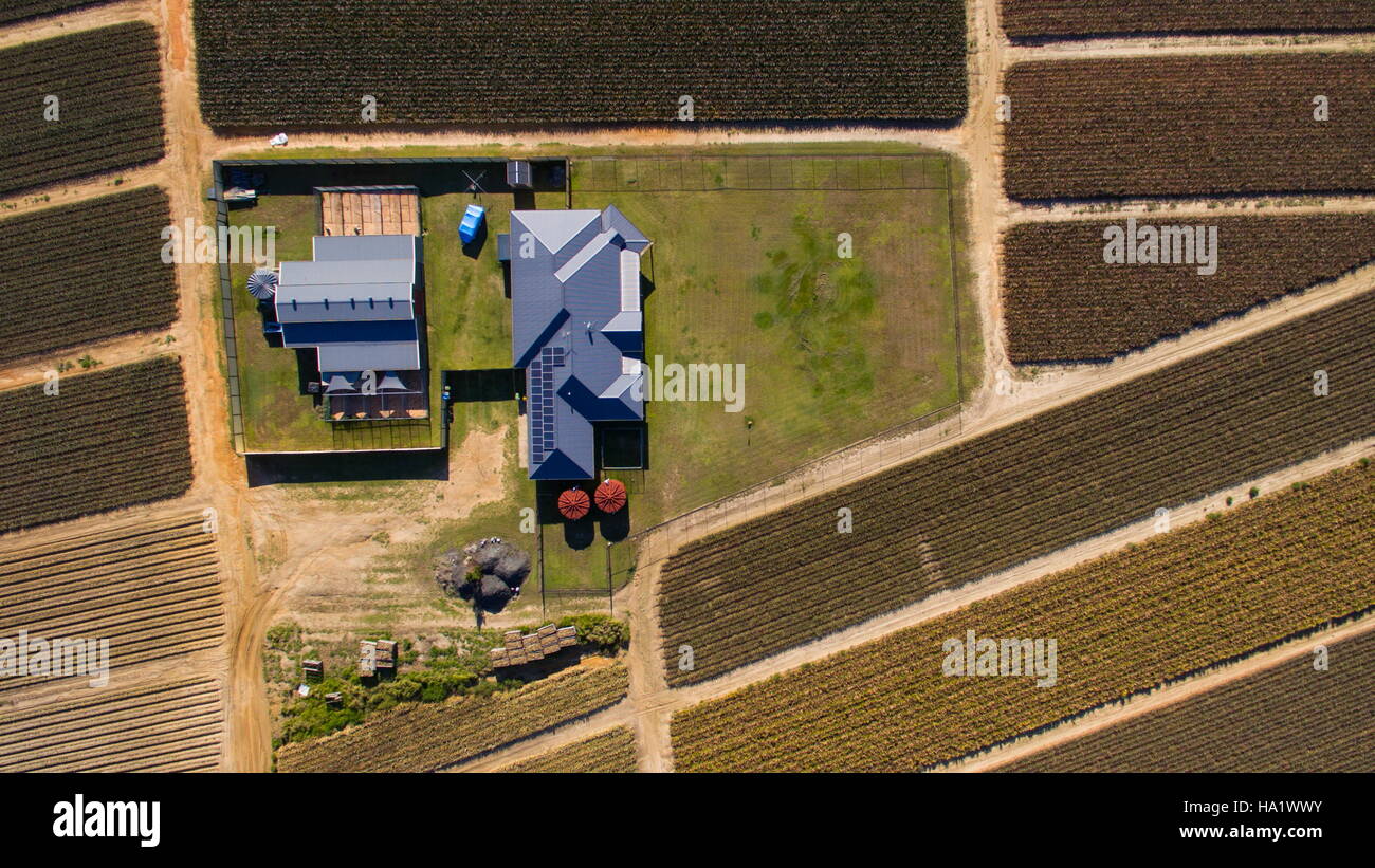 Drone or UAV aerial photo over the homestead and field of pineapples near Beerwah on the Sunshine Coast, Queensland, Australia. Stock Photo