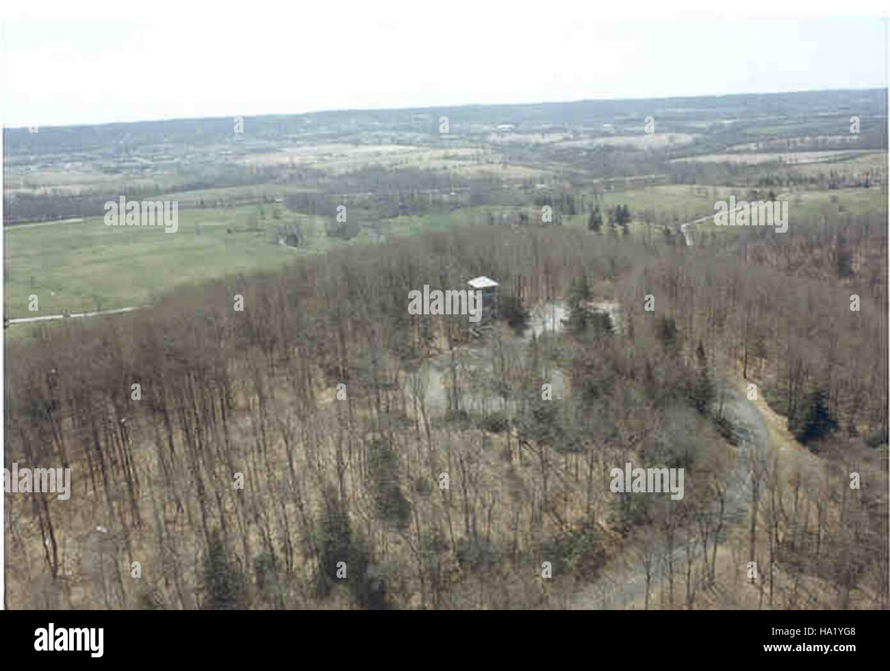 6437445611 Mt Joy Observation Tower Stock Photo