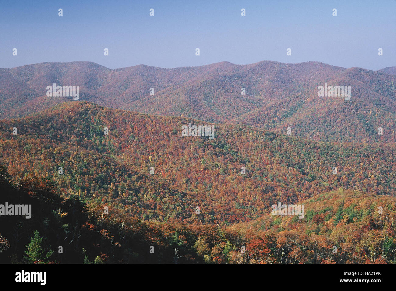 Patterson Ridge Australia Rockytop and Patterson Ridges are scenic features in a national park ...