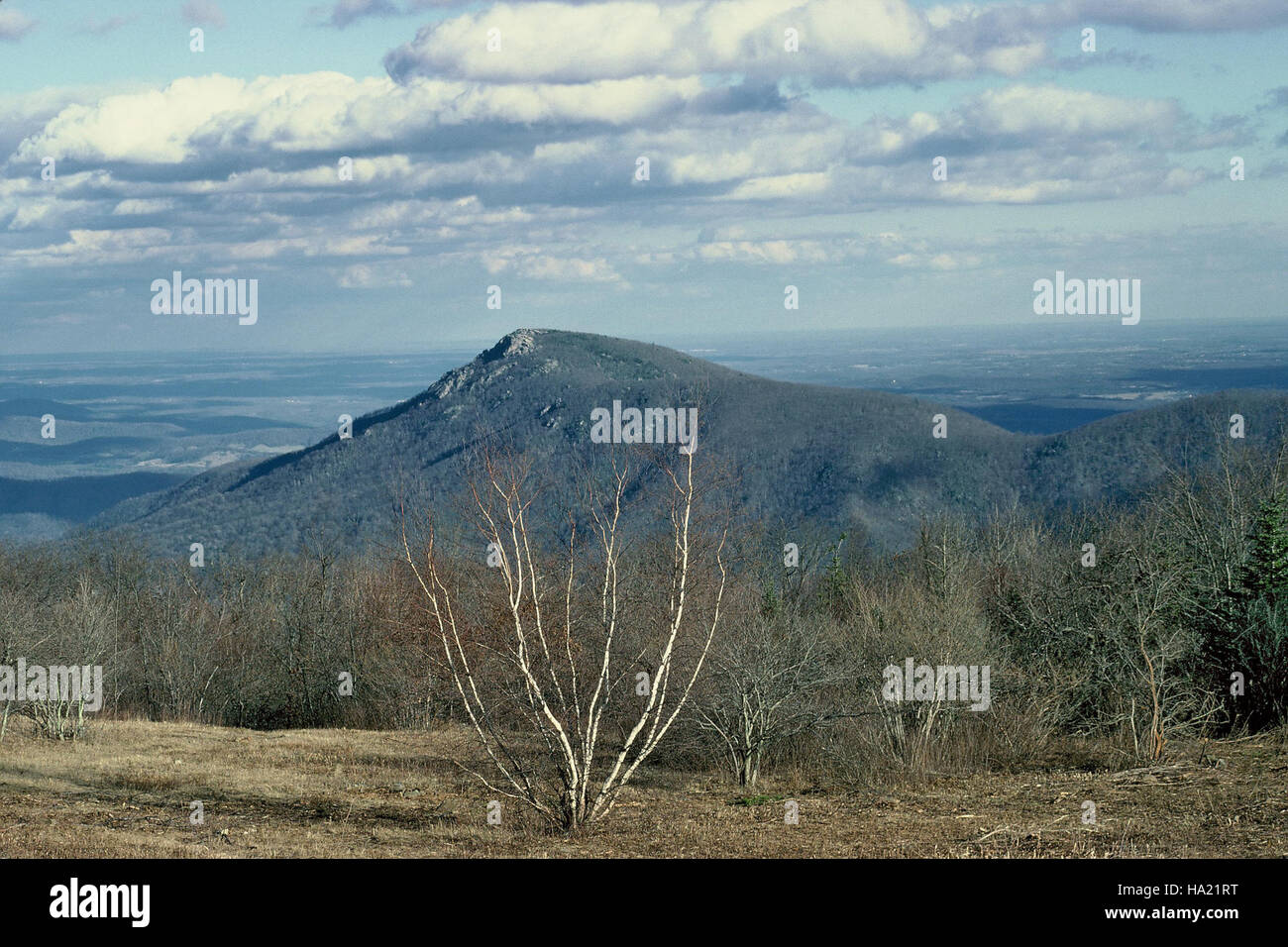 snpphotos 13083794443 Old Rag View Stock Photo - Alamy