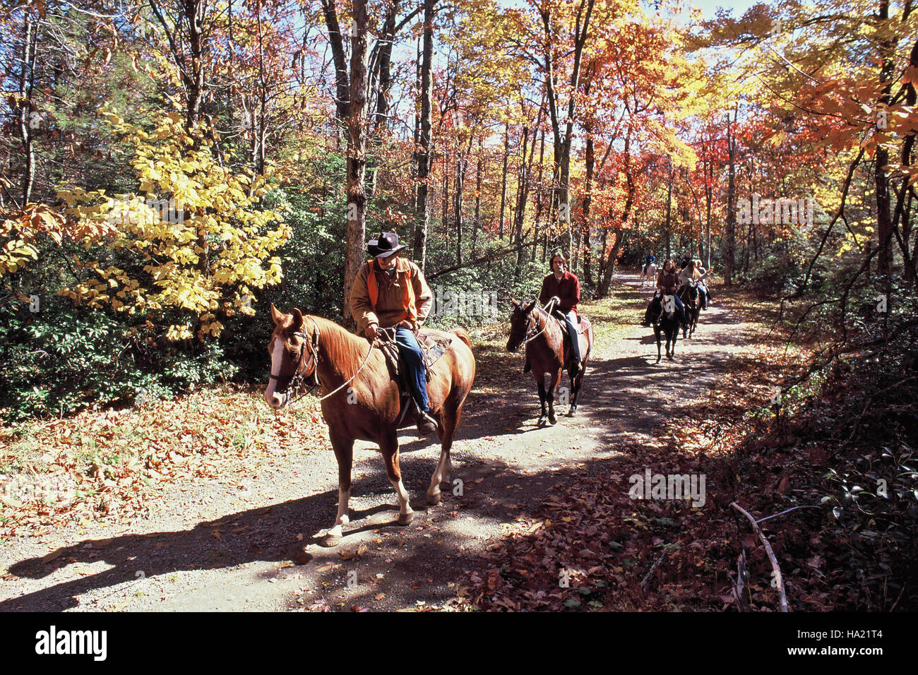 snpphotos 13083895373 Trail Ride-Skyland on Old Rag Fire Road Stock ...