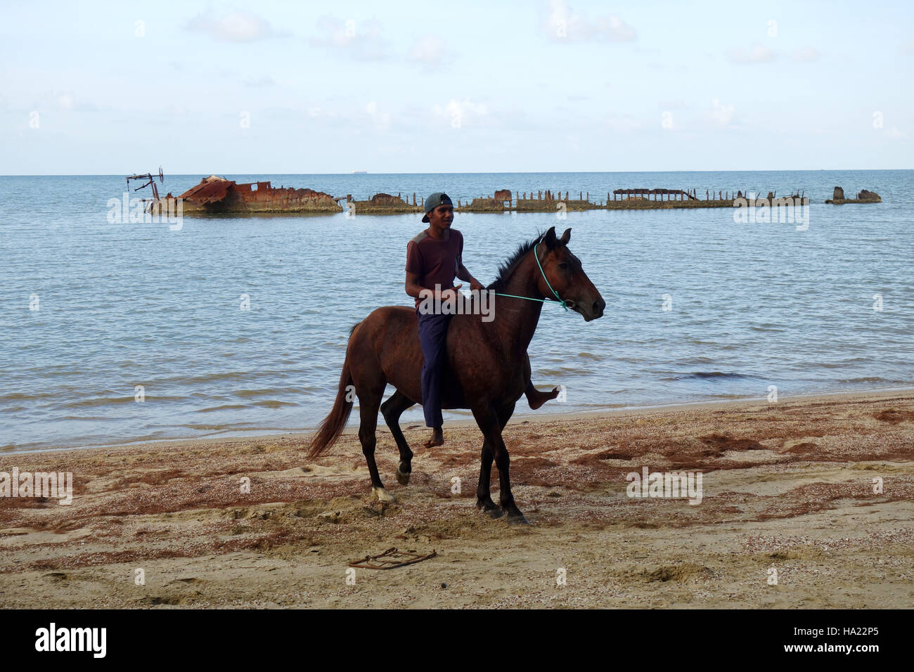 Young Aboriginal man breaking in horse by riding bareback with rope reins along beach, Yarrabah, near Cairns, Queensland, Australia. No MR Stock Photo