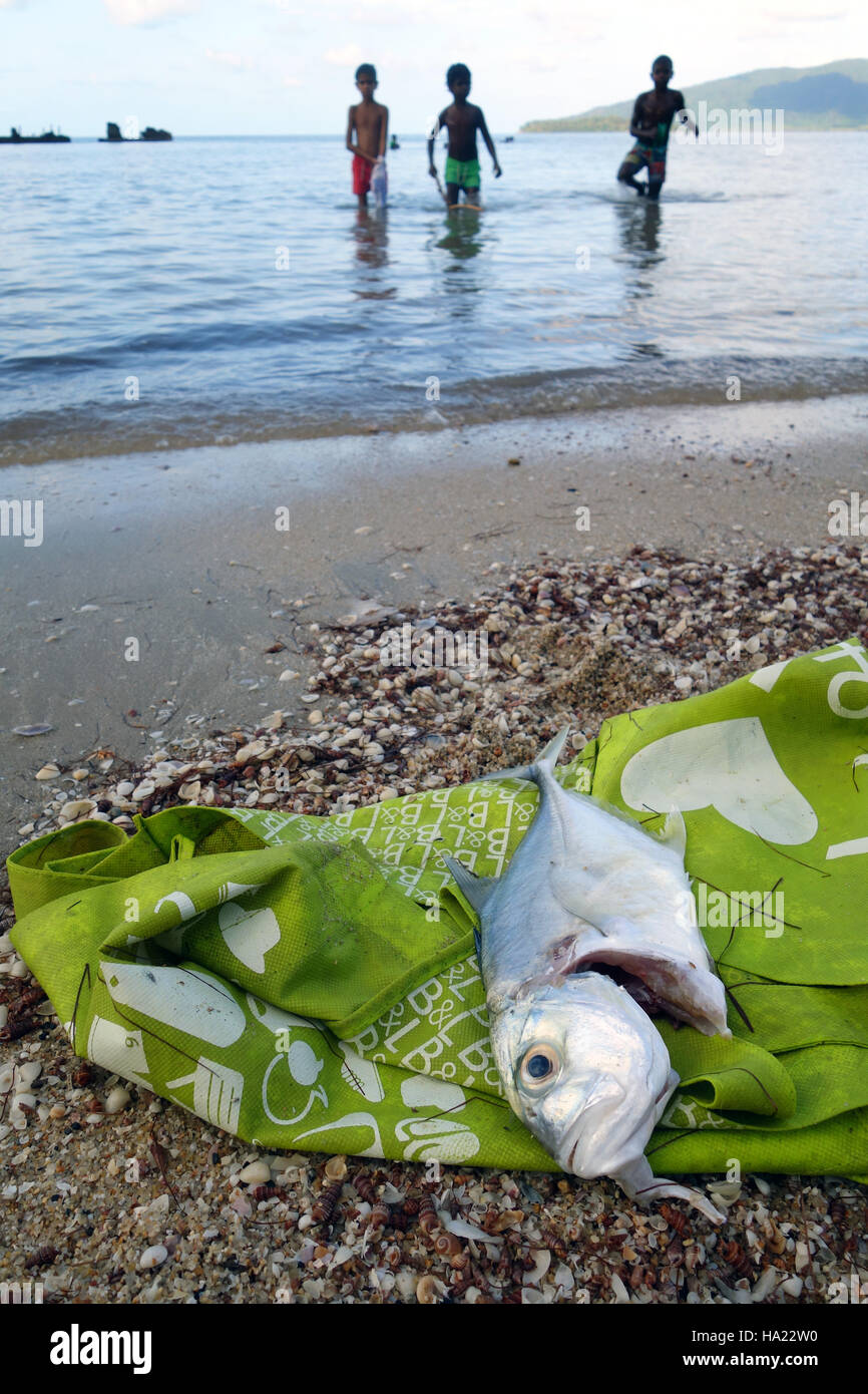 Fish Trevally That Local Kids Have Caught At The Beach Yarrabah Near Cairns Queensland Australia No Mr Or Pr Stock Photo Alamy