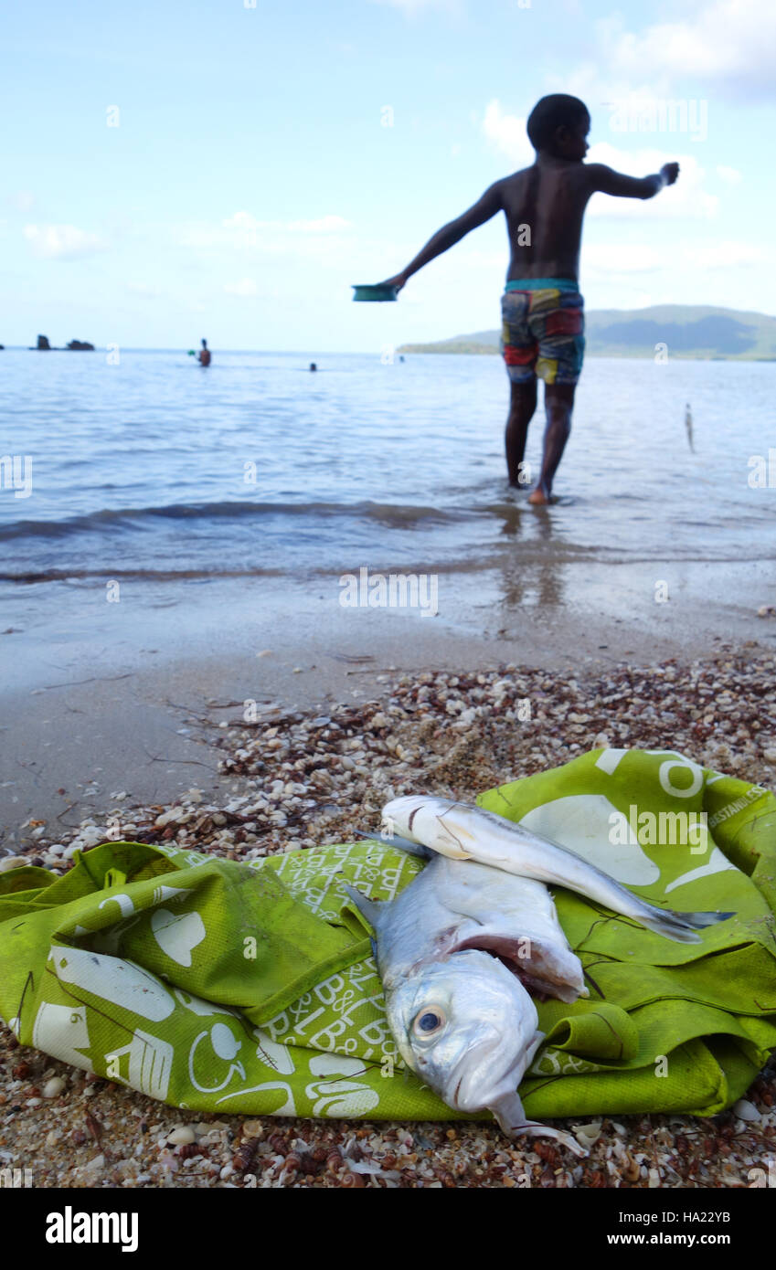 Fish (trevally) that local kids have caught at the beach, Yarrabah, near Cairns, Queensland, Australia. No MR or PR Stock Photo